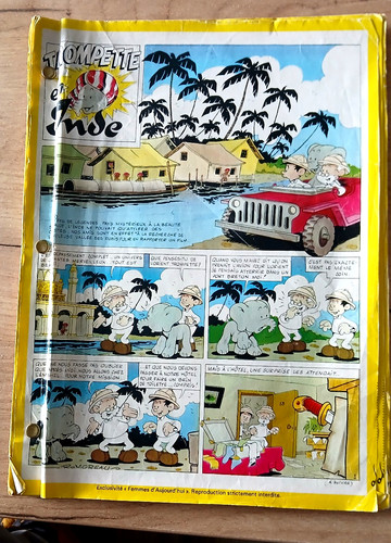 Planches trompette inde - 50,